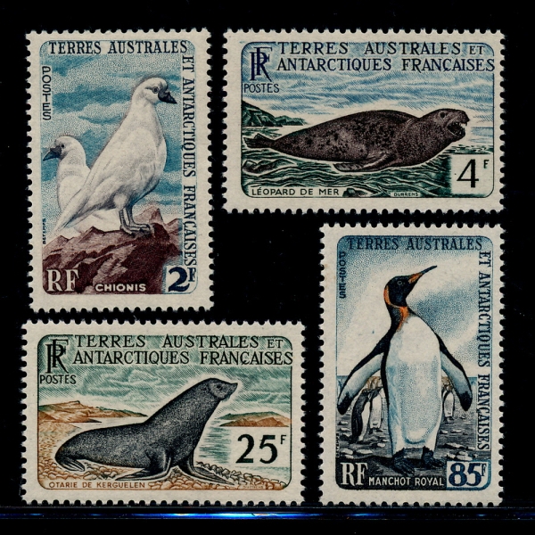 FRENCH SOUTHERN AND ANTARCTIC TERRITORIES(    )-#16~19(4)-SHEATHBILLS,SEA LEOPARD,WEDDELL SEAL,KING PENGUIN(ٴ )-1960.12.15