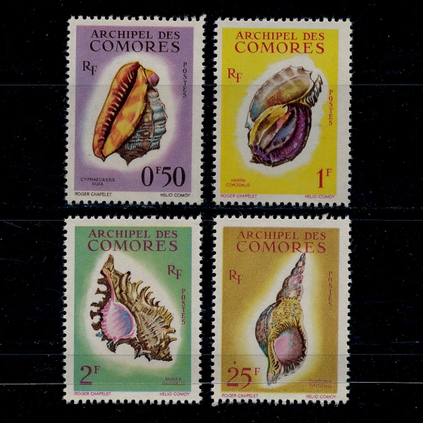COMORO ISLANDS(ڸ)-#48~51(4)-SHELLS()-1962.1.13