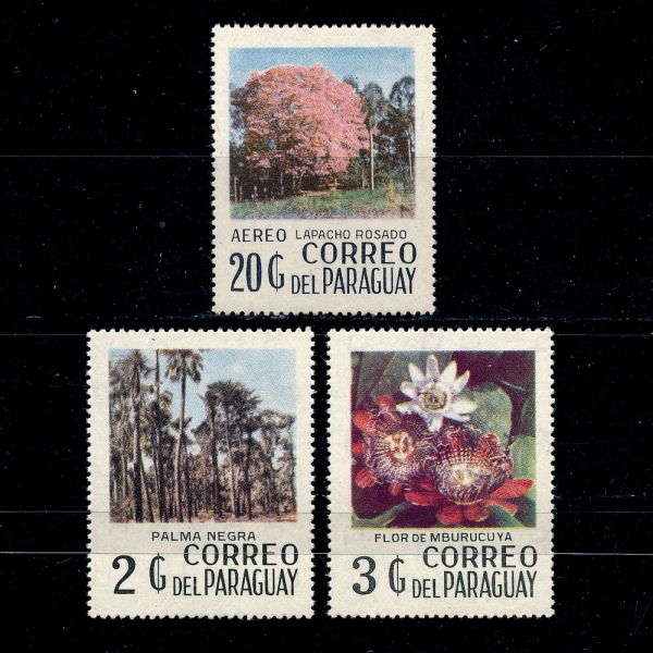 PARAGUAY(Ķ)-#A303(3)-TREES()-1977