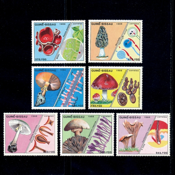 GUINEA BISSAU(Ϻ)-#765~771(7)-MUSHROOMS()-1988