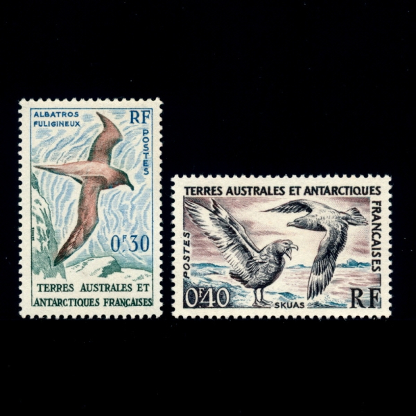 FRENCH SOUTHERN AND ANTARCTIC TERRITORIES(    )-#12~3(2)-LIGHT-MANTLED SOOTY ALBATROSS, SKUA( Ʋ ˹Ʈ ν,)-1959.9.14
