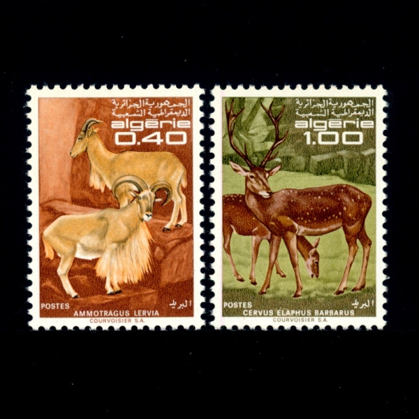 ALGERIA()-#404~5(2)-BARBARY SHEEP AND RED DEER(ٵ, 罿)-1968.10.19