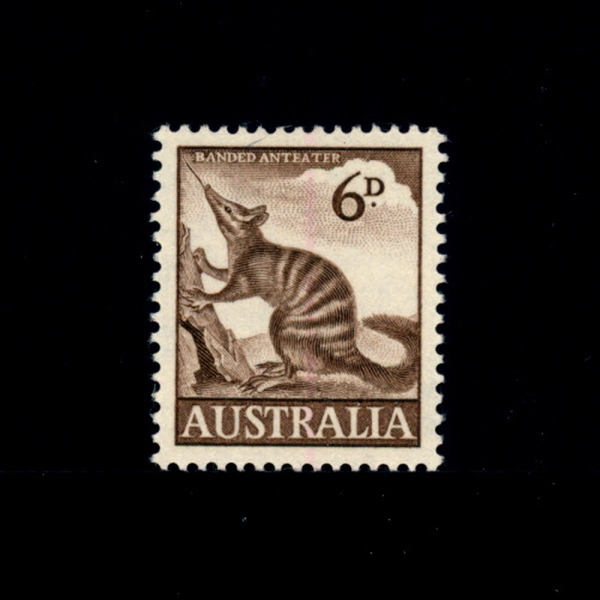 AUSTRALIA(Ʈϸ)-#320-6p-BANDED ANTEATER()-1960.9.30