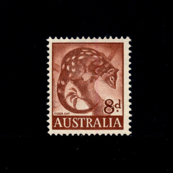 AUSTRALIA(Ʈϸ)-#321-8p-TIGER CAT(½Ƕ)-1960.5.11