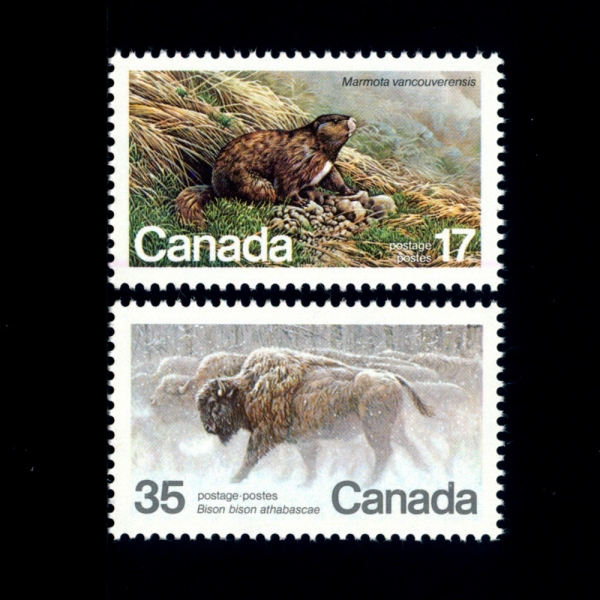CANADA(ĳ)-#883~4(2)-VANCOUVER ISLAND MARMOT, BY MICHAEL DUMAS AND WOOD BISON, BY ROBERT BATEMAN(ŬǱ׸-Ʈ,ιƮǱ׸- )-1981.4.6