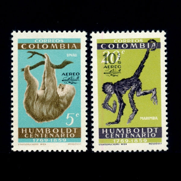 COLOMBIA(ݷҺ)-#713~4(2)-TWO-TOED SLOTH AND SPIDER MONKEY( ú,Ź )-1960.2.12
