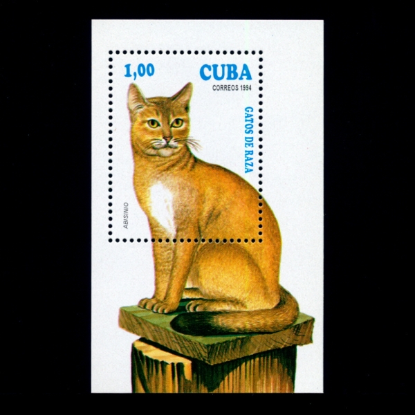 CUBA()-SOUVENIR SHEET#3558-1p-ABYSSINIAN(ƺôϾ )-1994.2.15