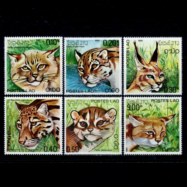 LAOS()-#346~51(6)-WILD CATS(߻ )-1981
