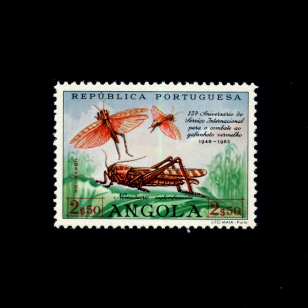 ANGOLA(Ӱ)-#447-2.50e-LOCUSTS(޶ѱ)-1963.6.2