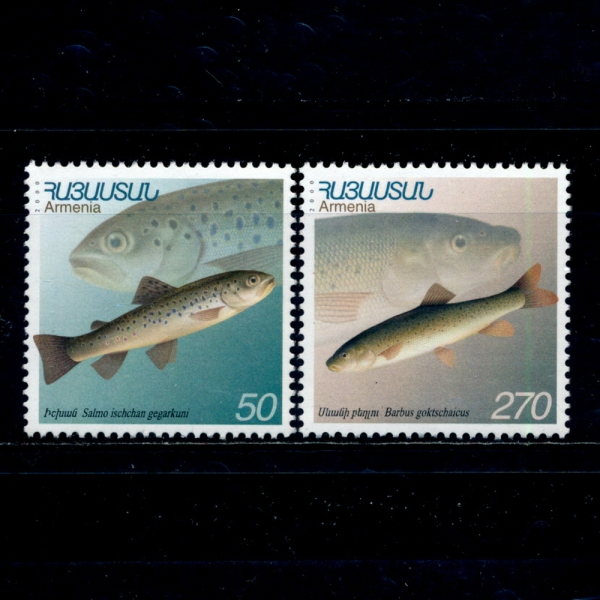 ARMENIA(Ƹ޴Ͼ)-#606~7(2)-FISH()-2000.5.23