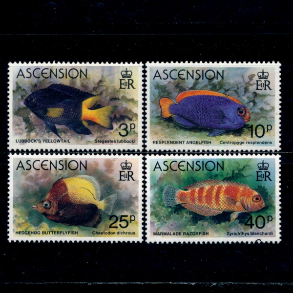 ASCENSION( )-#262~6(4)-FISH()-1980.9.15