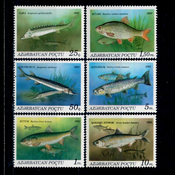 AZERBAIJAN()-#386~91(6)-FISH()-1993.8.27