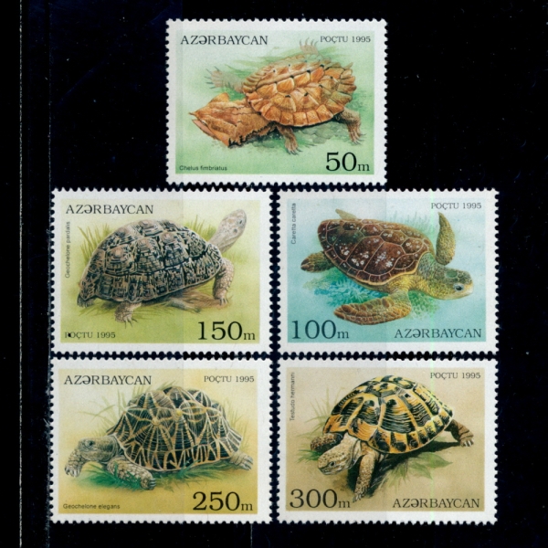 AZERBAIJAN()-#520~4(5)-TURTLES(ź)-1995.6.12