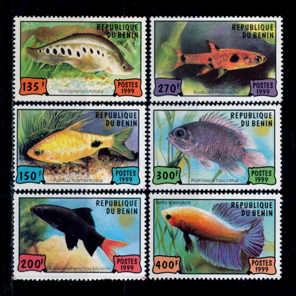 BENIN()-#1148~53(6)-FISH()-1999.5.10