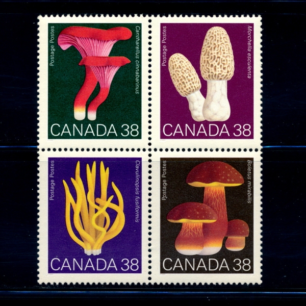 CANADA(ĳ)-#1245~8(4)-MUSHROOMS()-1989.8.4