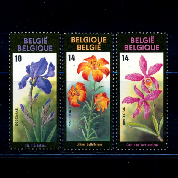 BELGIUM(⿡)-#1333~5(3)-GHENT FLOWER FESTIVAL, ORCHIDS(Ʈ  ,)-1990.3.3