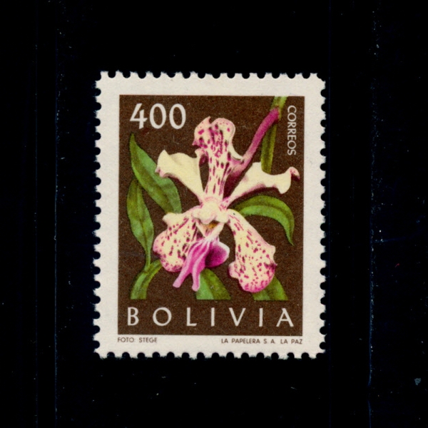 BOLIVIA()-#460-400b-BICOLORED VANDA(ݴ )-1962.6.28