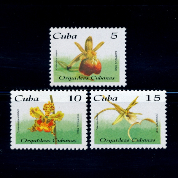 CUBA()-#3681A~C(3)-ORCHIDS()-1995.11.10